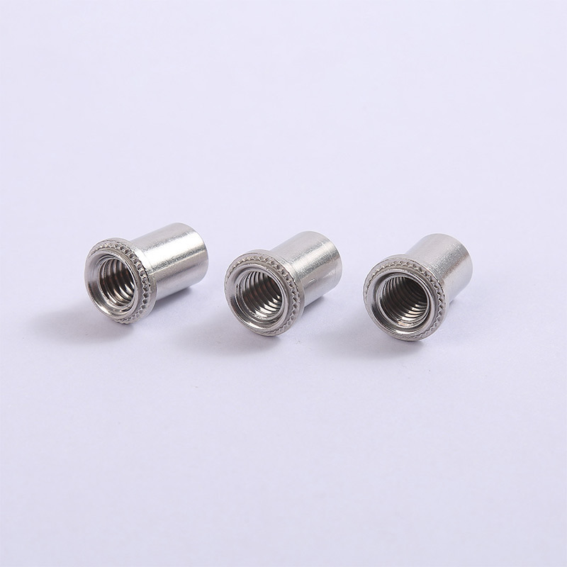 304 / 316 tuerca de acero inoxidable a prueba de agua BS / BS4 / BSS-M3M8 hierro inoxidable sellado rosca de tuerca de remachado