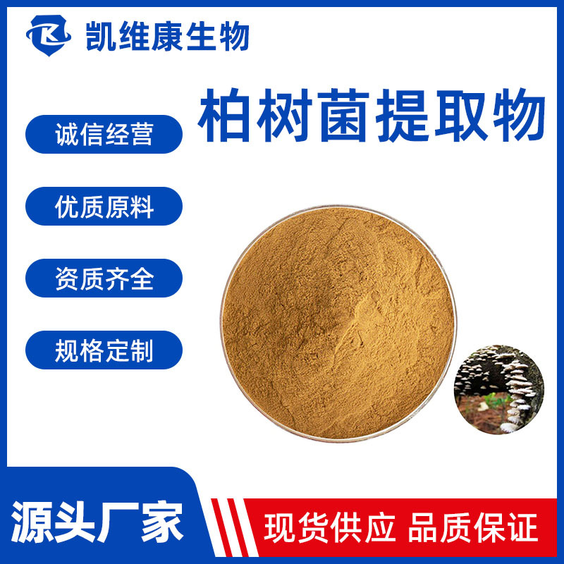柏树菌粉 50:1高比例柏树菌提取物 10%含柏树菌多糖现货供应