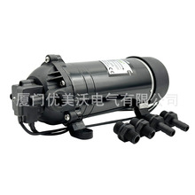 DP-160M交流高压隔膜泵 220V隔膜泵 singflo高压水泵、singflo泵