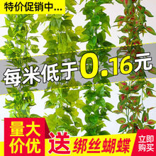 仿真植物藤条爬山虎葡萄叶绿树叶塑料假花水管道缠绕藤蔓吊顶装饰