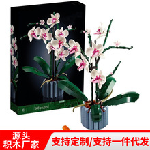 �羳�����ָ�10311������ľ��ͯƴװ��ɫõ�廨���������˽�����