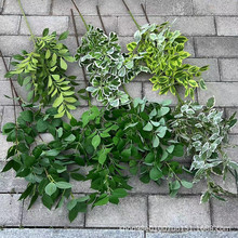 �¿�ľ���~��߅�����ŗ��~�S�G���~�٘�����쾰�b��~�ӷ���Gֲ