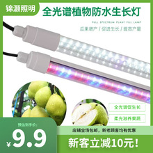 T8��ˮֲ���ȫ���Vֲ�����L����ů��׹�t���{������߲��a���