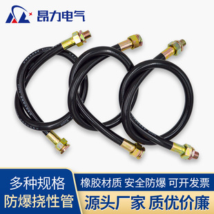 Explosion-Proof Flexible Pipe Bng Metal Connecting Pipe Dn15Dn20 4 Points 6 Points Threading Hose in Stock