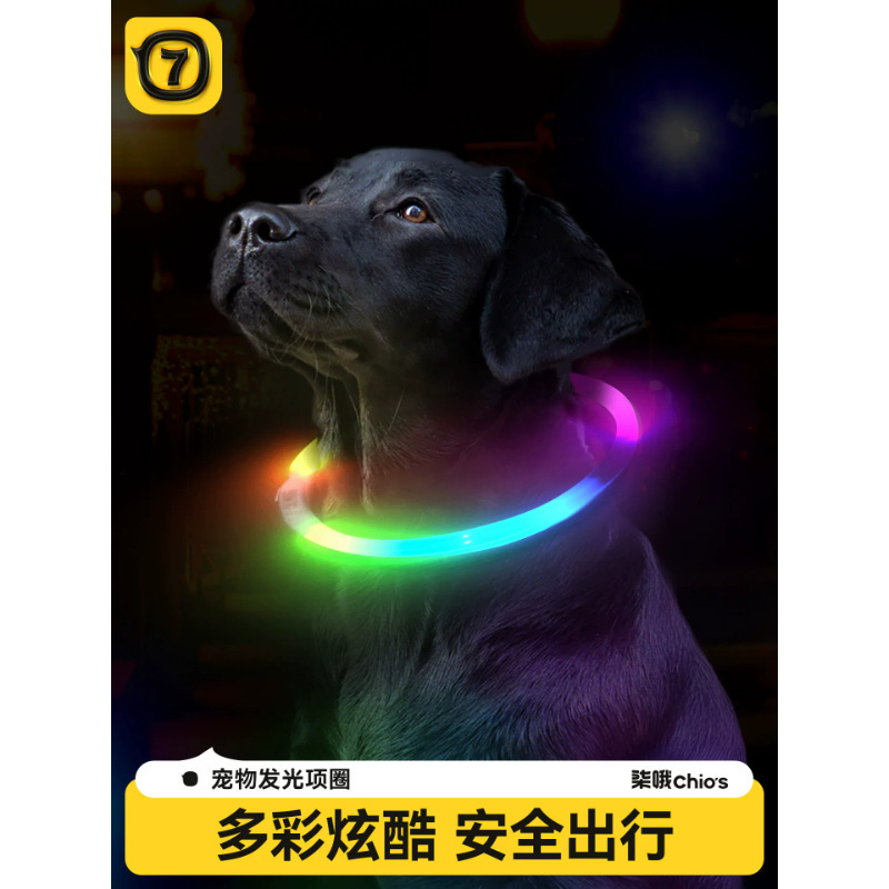 Chios Lde Pet Luminous Collar for Dogs and Cats, Glowing Rechargeable Dog Collar, Neck Collar for Night Use