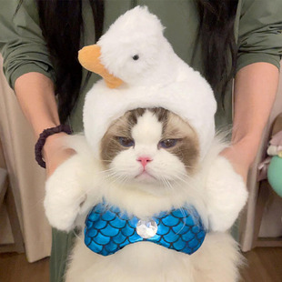 Cat Duck Headgear, Big White Goose Hat, Pet Collar, Cosplay Photo Props, Small Size Dogs Funny Ideas