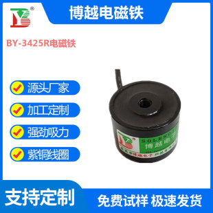Suction Cup Electromagnet Low-Voltage Dc Suction 20kg Automation Machinery Electric Control Magnetic Lock Machine Suction Cup Type