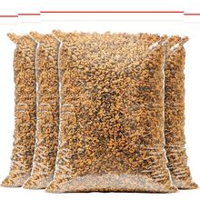 ��������͵�t�����²贺������P�c��z��t��ѿ���ݼt���~���b