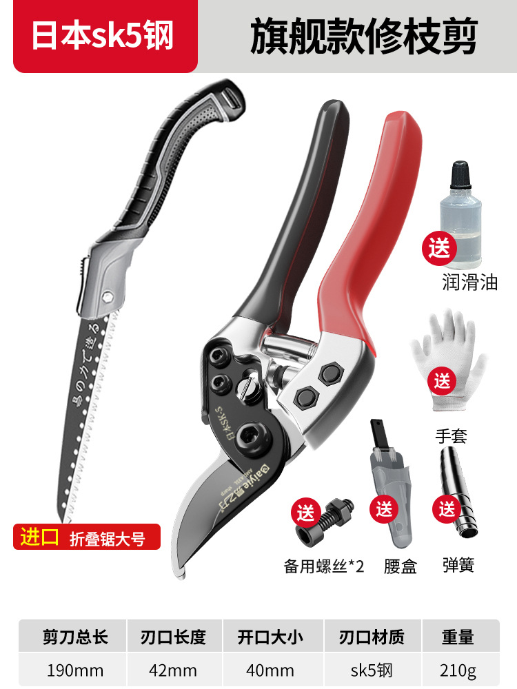 Tijeras de rama de fruta Yizili tijeras de jardín de primavera SK5 hoja de acero tijeras de jardinería doméstica tijeras de podar Bonsai de jardín al por mayor