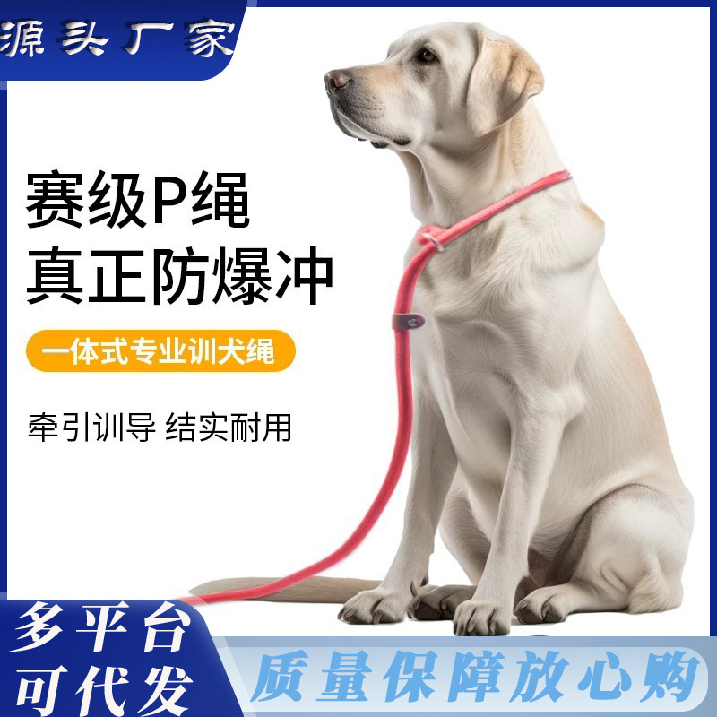 Cuerda para perros Cadena de perforación a prueba de explosiones Perros pequeños, medianos y grandes salen a pasear perros artefacto cuerda de tracción para perros cuerda p cuerda p cadena cuerda para pasear perros