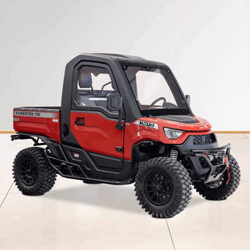 Арктическое небо квадроцикл квадроцикл внедорожный полный привод HSUN 750UTV Горный взрослый вседорожный мотоцикл топливо