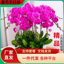 һlm玧҃ȻܾGֲļ_m玧