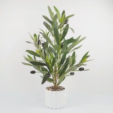 ���R�d����Gֲ�ϙ�֦�������Կ羳�٘�֦����[�žGֲ�b��辰