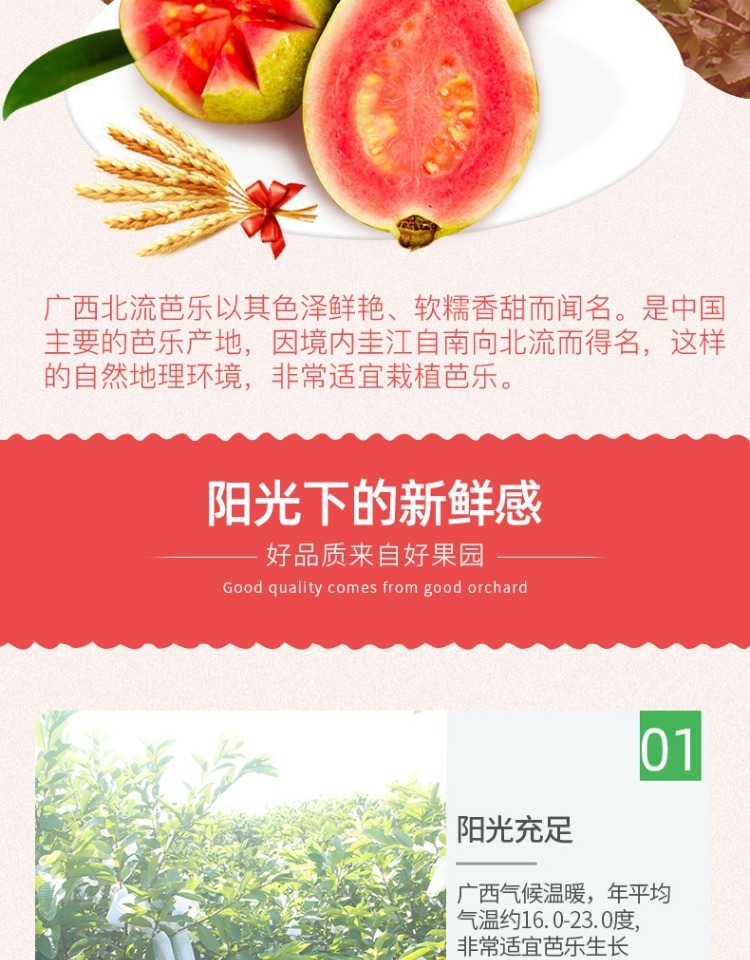 f4d89f3c-f376-49b2-be43-6c6154c8156a.jpe