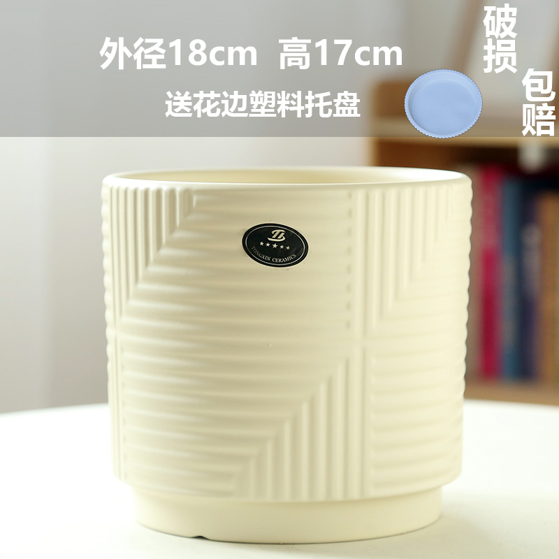 고급 특가 특대 마야 레몬 원사(트레이 포함)