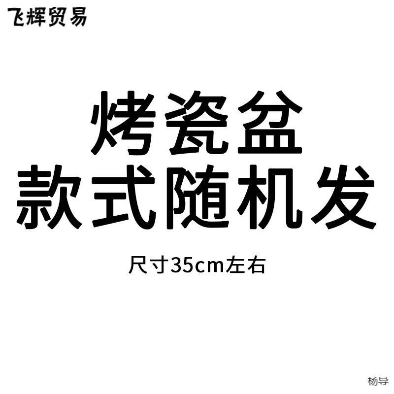라이트 퍼플 도자기 냄비 스타일 무작위 머리