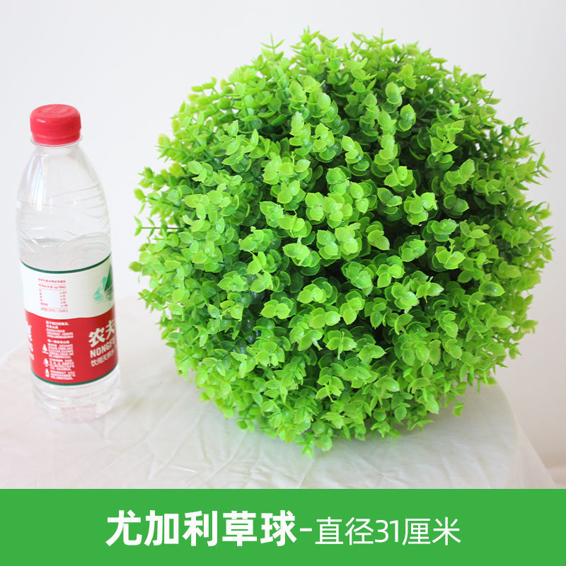 유칼립투스 잔디 공-직경 31cm