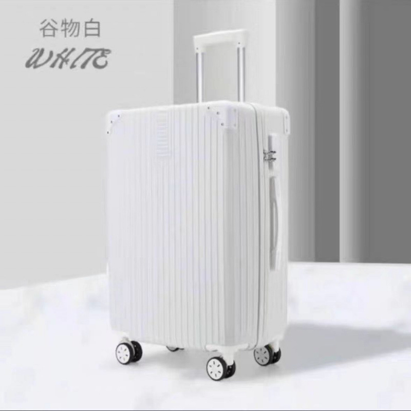 그레인 화이트(501 두꺼운 코너 지퍼)