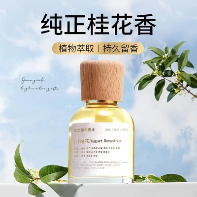 Lasting Light Fragrance, Car Perfume Aromatherapy