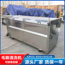 毛刷去皮清洗机 螺旋式胡萝卜脱皮机 自动出料红薯土豆去皮机