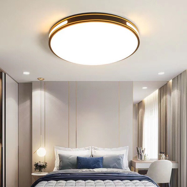 LED ceiling light for living room
