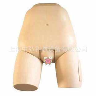 ZH-31�߼��ӌm�יz���u��ģ�ͣ��ӌm�יz��ģ��