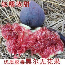 ·��˹�o��������󲨼��t�������ϱ���ͥԺ�Nֲ���Ե��Ԯ���Y��