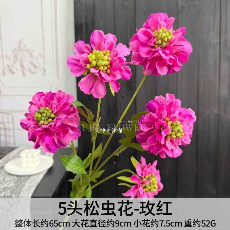 솔방울꽃