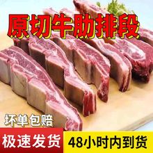 牛肋排4/8斤大骨带肉牛段鲜冻蝎子熬汤煮生鲜火锅煮炖食材批发