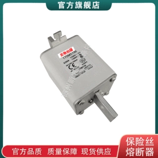 170M5119 5174 5175 5176 5177 巴斯曼bussmann快速熔断器保险丝