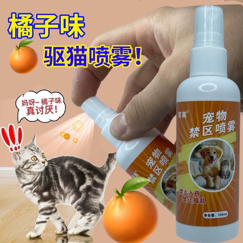 Предотвращение ложиться спать с кошками