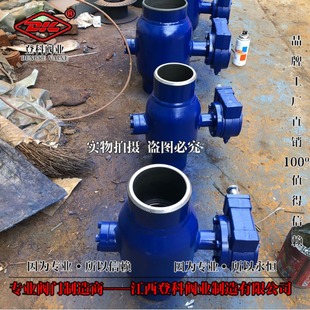 ȫͨ����ȼ�����y ú���y �������y Q361F-25C DN250 304��������