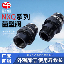 NXQ�����������y�����������ݼy������y�M�M���y�߉�