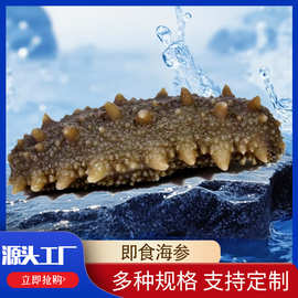 即食海参商用批发散货可真空包装鲜食海参工厂直发即食海参