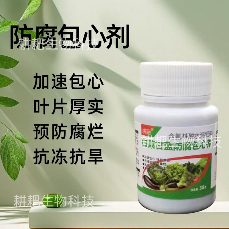 Specialized Medicine for Cabbage: Complete Treatment for Cabbage Diseases, Including Root Rot, Yellow Leaf Rot, Soft Rot, and Gray Mold Specialized Medicine for Cabbage: Complete Treatment for Cabbage Diseases, Including Root Rot, Yellow Leaf Rot, Soft Rot, and Gray Mold