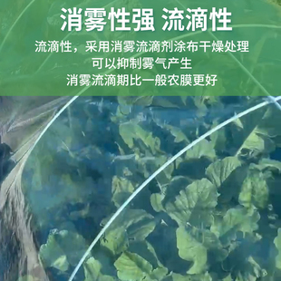 J8 Agricultural Vegetable Growing Film Arch Shed Small Arch Shed Planting Mulch Film Plastic Film Insulation Greenhouse Cold Protection G3