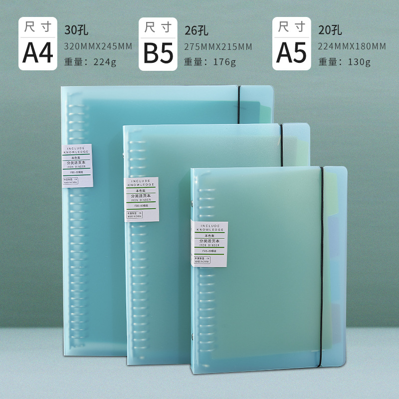 B5/26 홀/녹색 빈 클립 스트랩