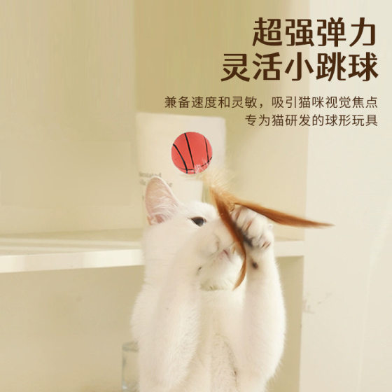 Cross-border New Internet Celebrated Chicken Feather Rubber Balls Feather Throwing Cat Toys Self-hi Pet Toys
