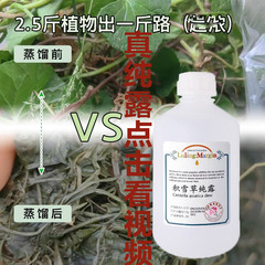 濃2:1飽和積雪草純露馬蹄草雷公根頭道飽和精油含有保湿補水敏感肌