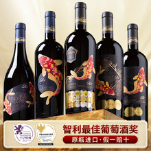 傲鱼智利原装原瓶进口红酒干红葡萄酒水果酒整箱批发送礼线下代理