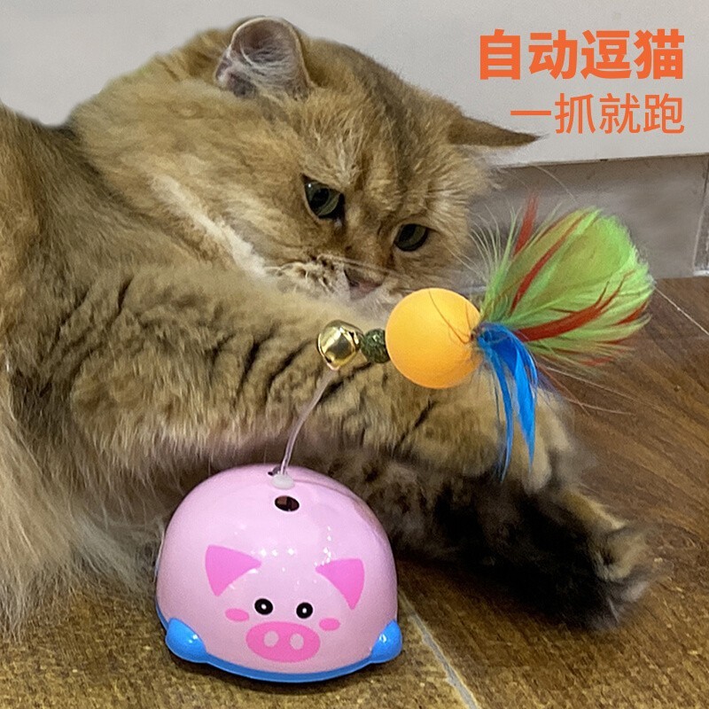 新款貓咪玩具自海解悶自動逗貓棒羽毛 彩色逗貓球電動貓玩具批發