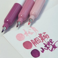 小紅書同項ka or綺彩秀麗筆ins高颜値美術絵画学生練習字上色手帳筆