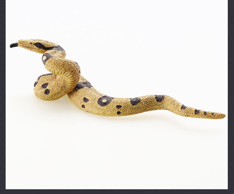 蛇系列-详情图_20.jpg