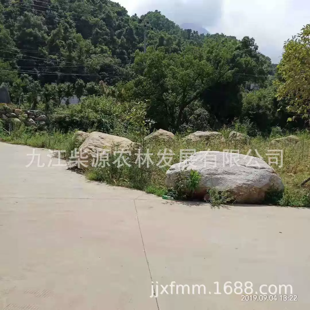 [Полные характеристики], распыленный щеточный камень, ландшафтный камень, каменное дерево, культурный камень, галька, речная галька