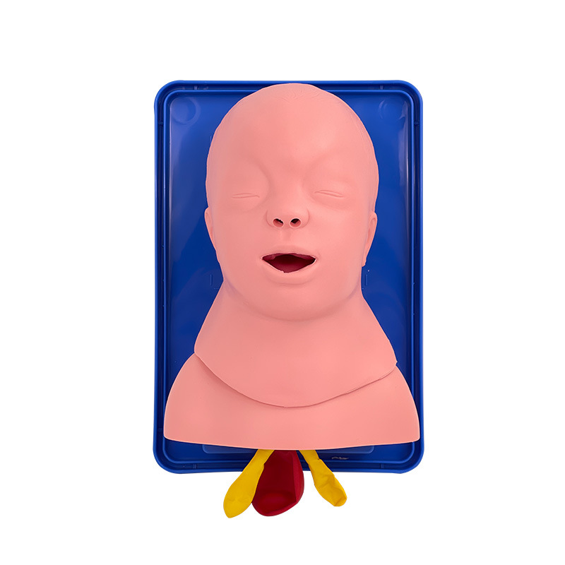 �߼�Ӥ�����ܲ��ģ�� ���ܲ��ģ�� Ӥ������ѵ�� ������������