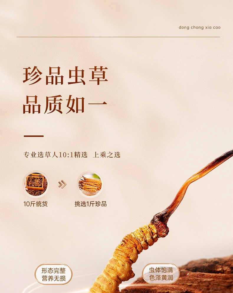Cordyceps Sinensis Dong Chong Xia Cao Whole Dried Caterpillar Fungus Gift Box 60 Pieces Culinary Herbal Tonic key features