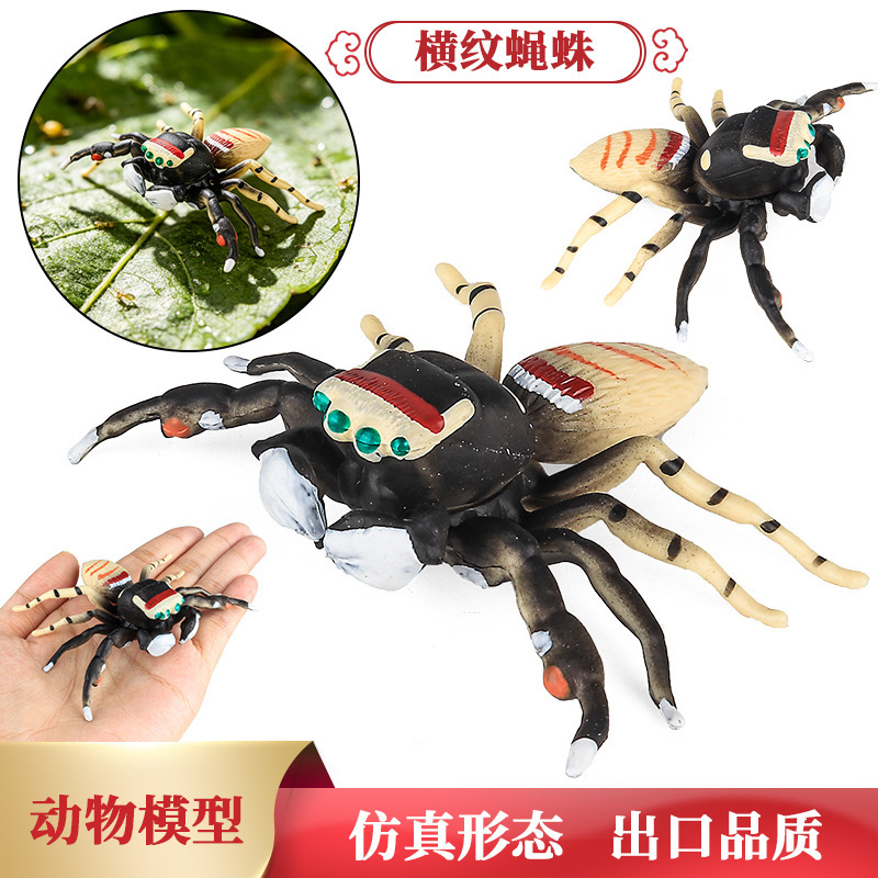 Simulated Children's Cognitive Insect Models: Flies, Spiders, Ants, Butterflies, Grasshoppers, Cicadas, Bees, Dragonflies, Locusts, Toy Ornaments Simulated Children's Cognitive Insect Models: Flies, Spiders, Ants, Butterflies, Grasshoppers, Cicadas, Bees, Dragonflies, Locusts, Toy Ornaments