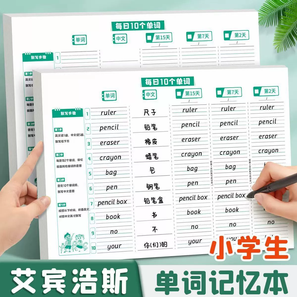 Ежедневные упражнения по запоминанию 10 английских слов