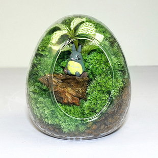 [Eggshell Moss] Fun Moss Ecological Micro-Landscape Landscaping Green Plants Indoor Potted Ornaments Are Easy to Maintain