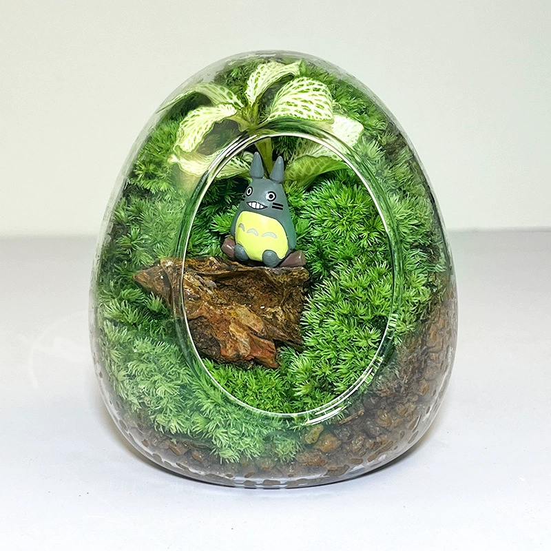 [Мох из яичной скорлупы] Веселый мох, экологический микроландшафт, ландшафтный дизайн, зеленые растения, комнатные горшечные украшения, легко обслуживать